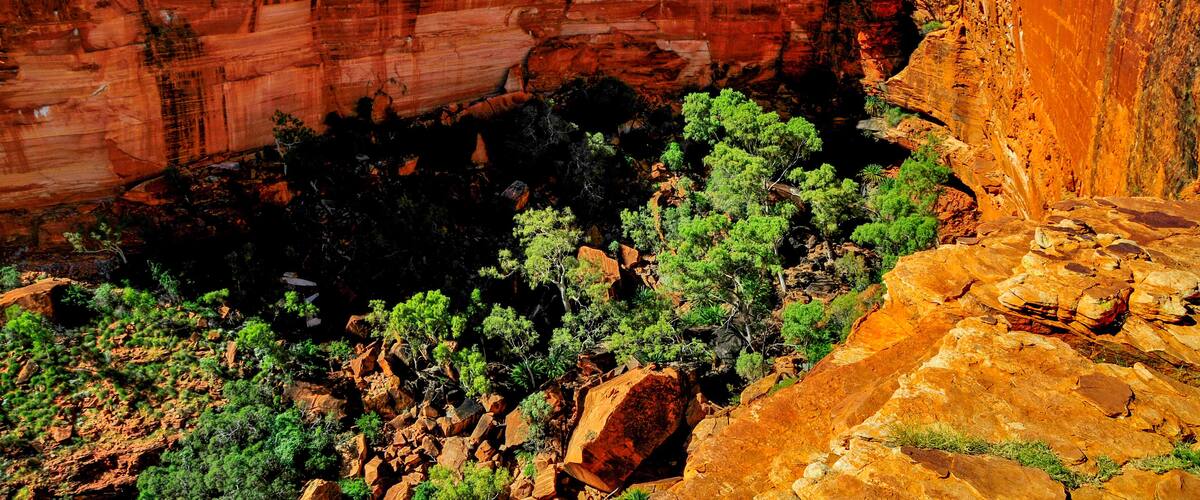 A canyon with red rock formations and green vegetation.