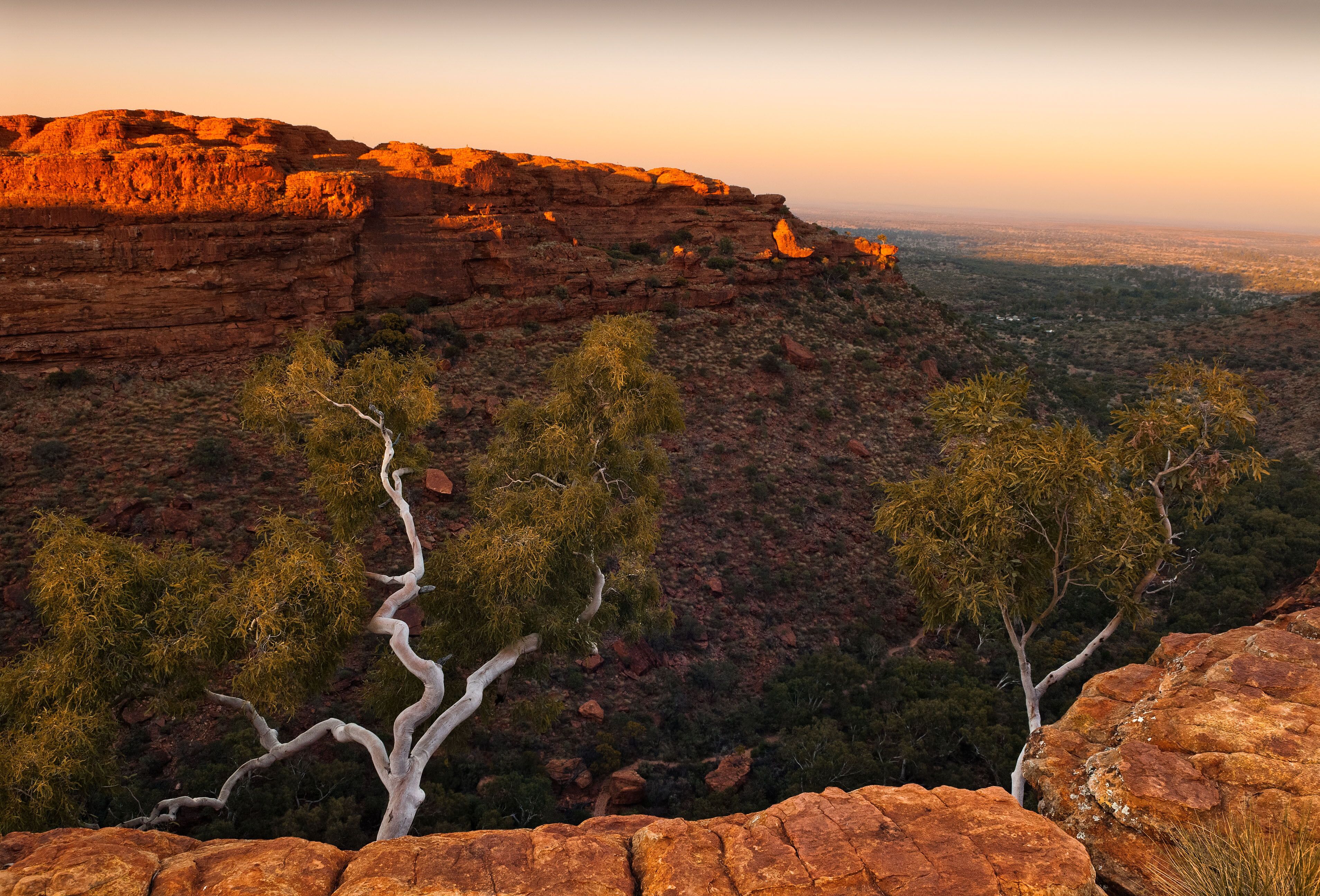 Pink dawn skies illuminate bleached trees and vertical cliffs of Kings Canyon in the Northern Territories of Australia, Shutterstock ID 571943473, Purchase Order: -