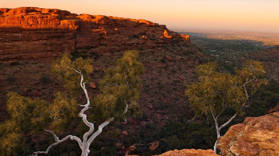 Pink dawn skies illuminate bleached trees and vertical cliffs of Kings Canyon in the Northern Territories of Australia, Shutterstock ID 571943473, Purchase Order: -