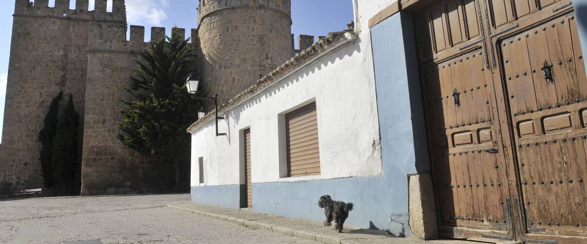 A historic stone tower with battlements, a white building with a wooden door, and a small dog on the street.