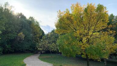 A gravel path winding through a park with trees displaying autumn foliage.
