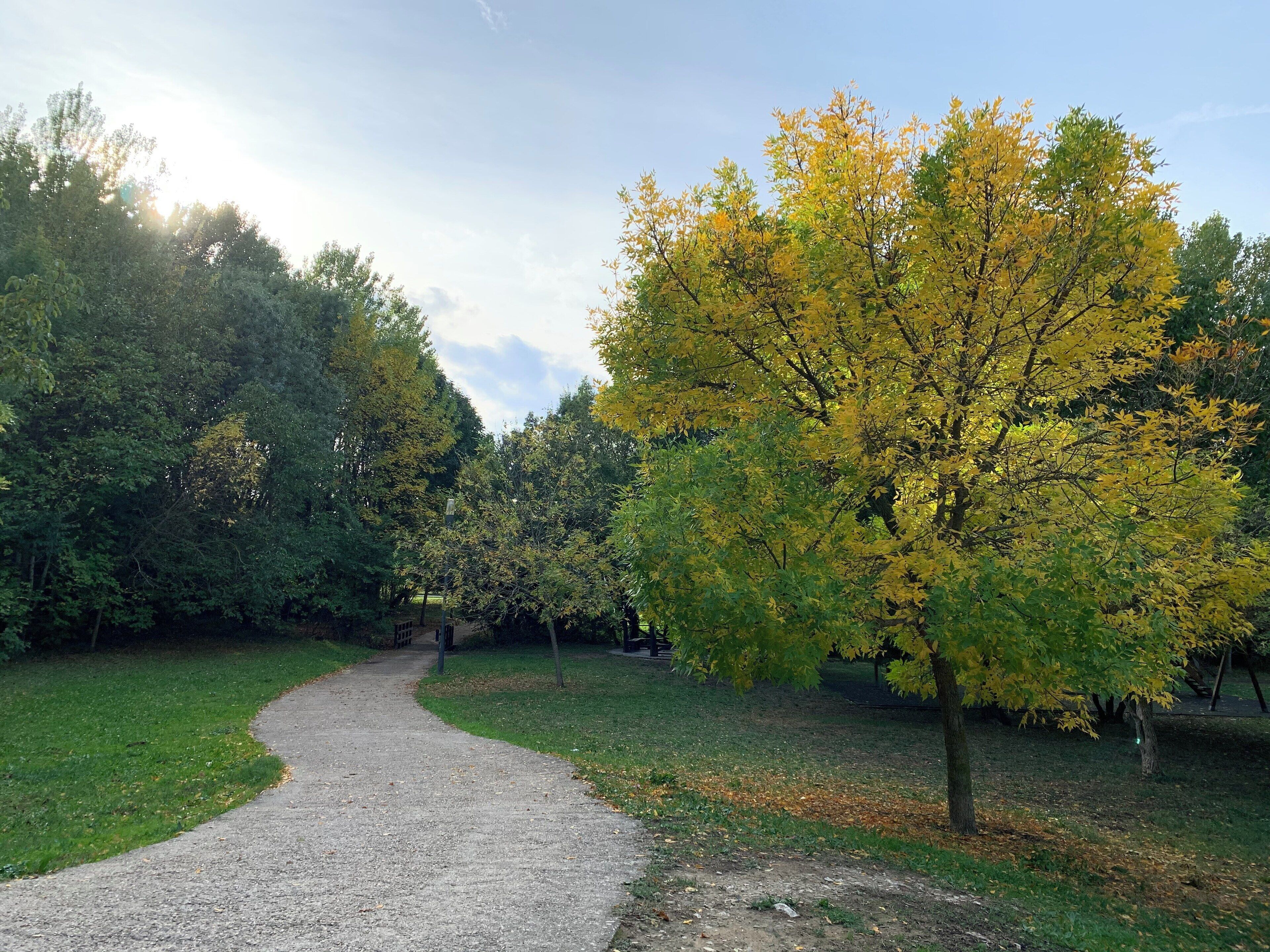 A gravel path winding through a park with trees displaying autumn foliage.