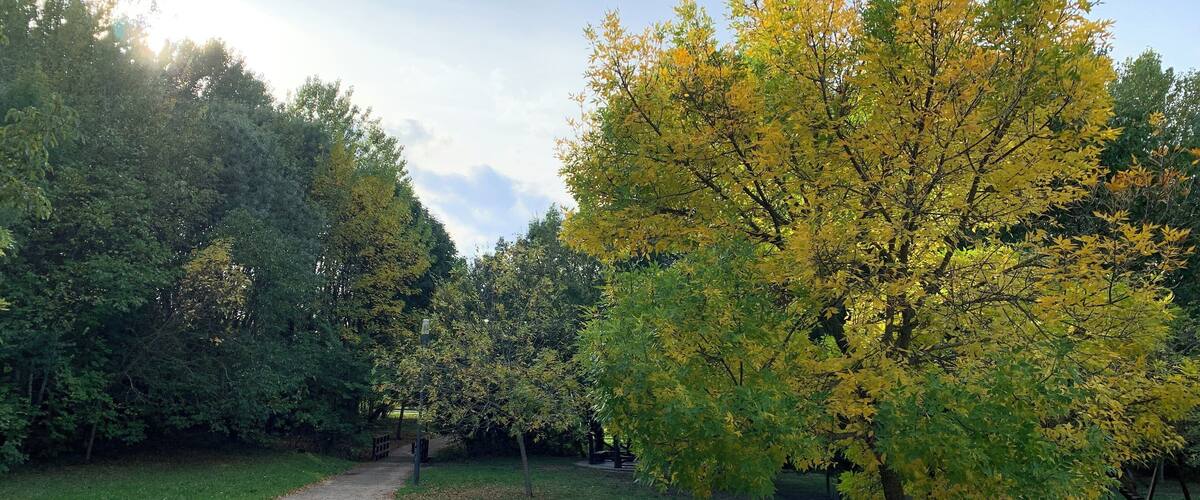 A gravel path winding through a park with trees displaying autumn foliage.