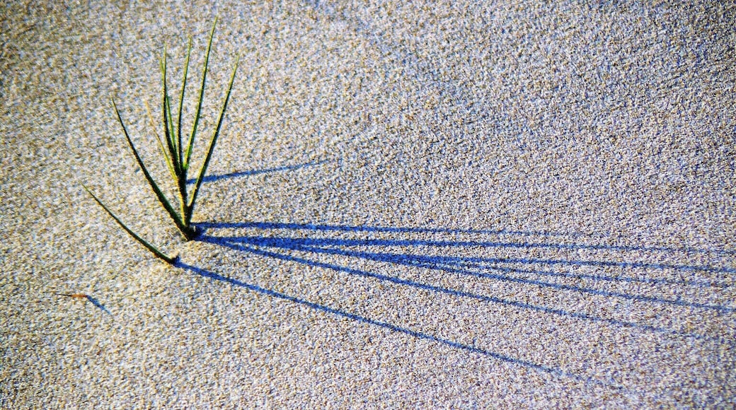 This is a photography of a Site of Community Importance in Spain with the ID: