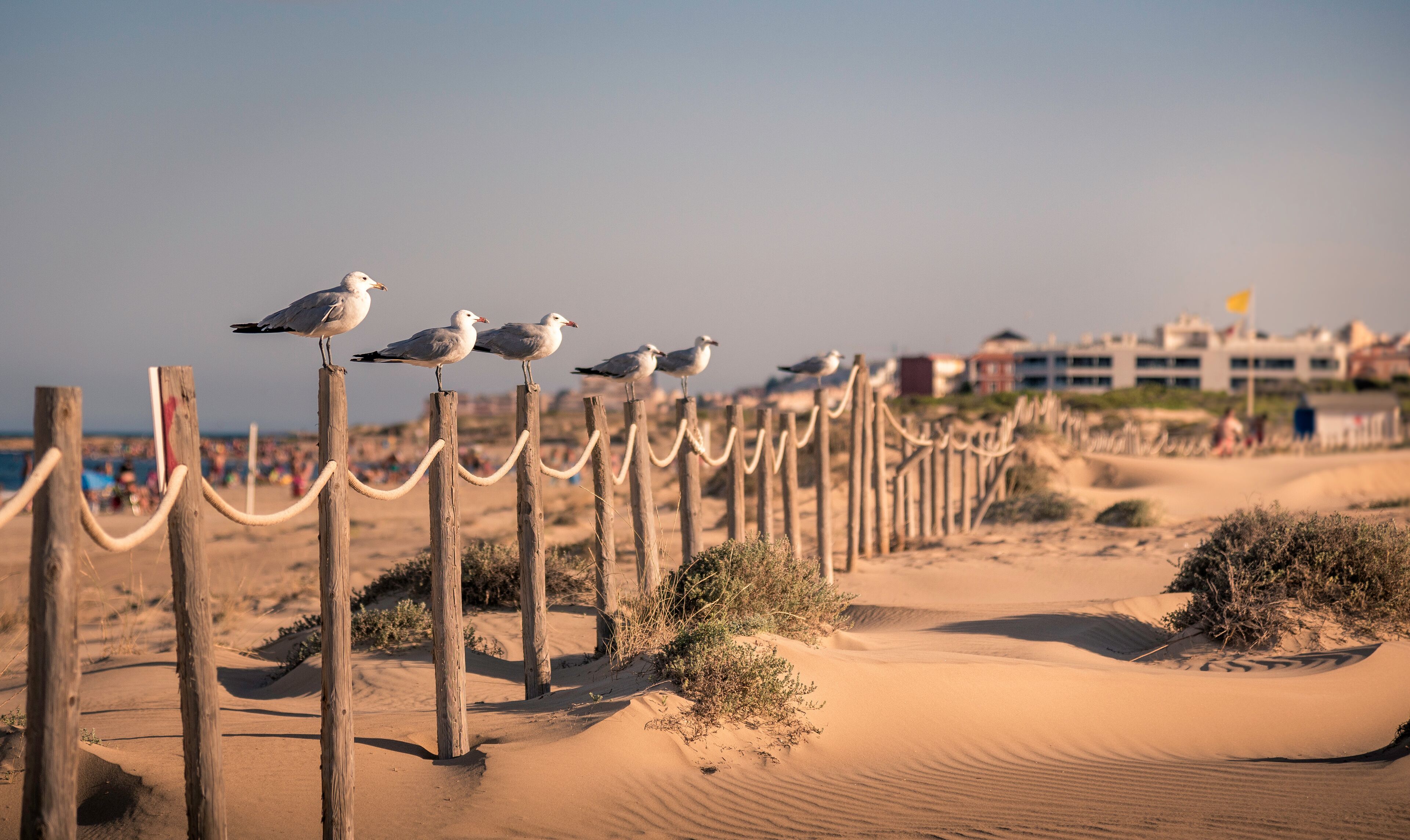Guardamar del Segura