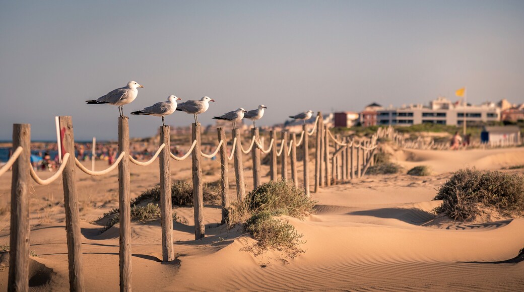 Guardamar del Segura