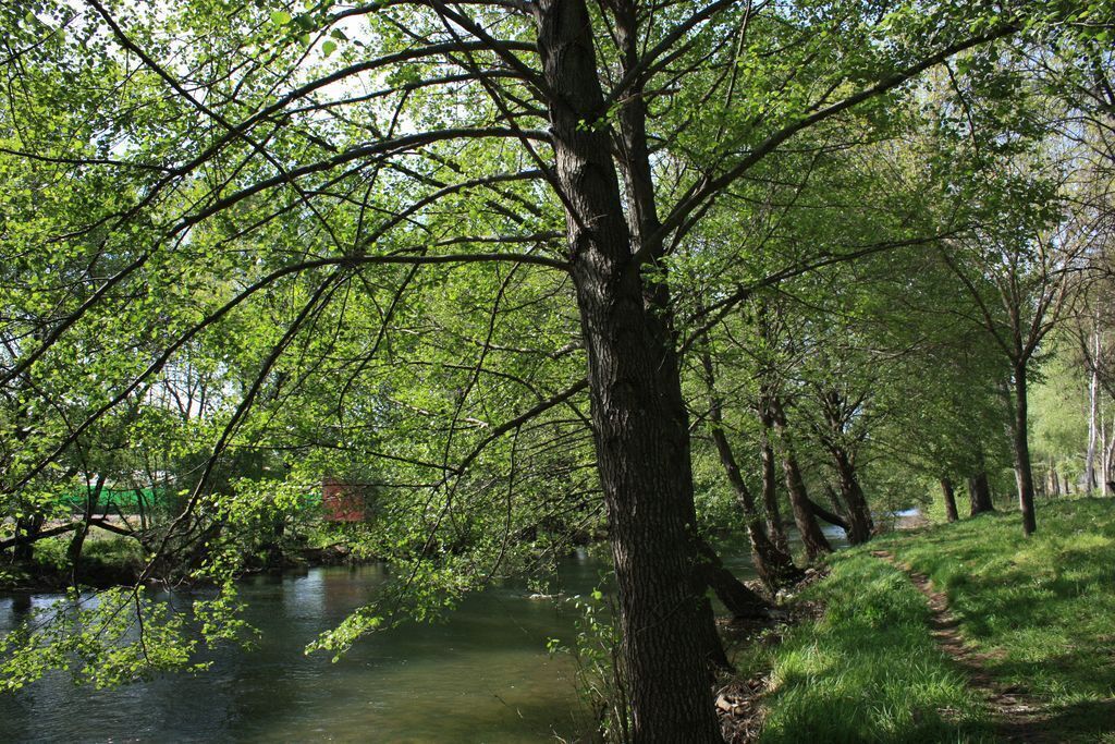 N40�1'47.04" W6�4'50.66" 331,0