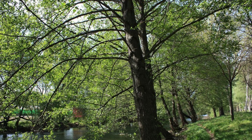 N40�1'47.04" W6�4'50.66" 331,0