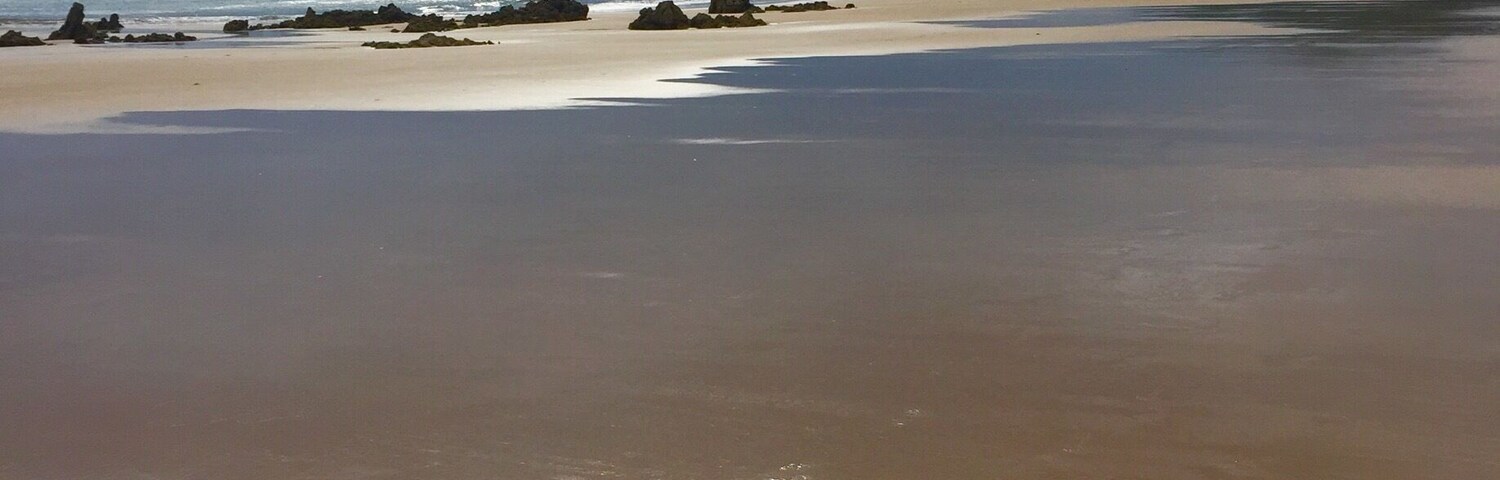 Footprints along the beach at Noja