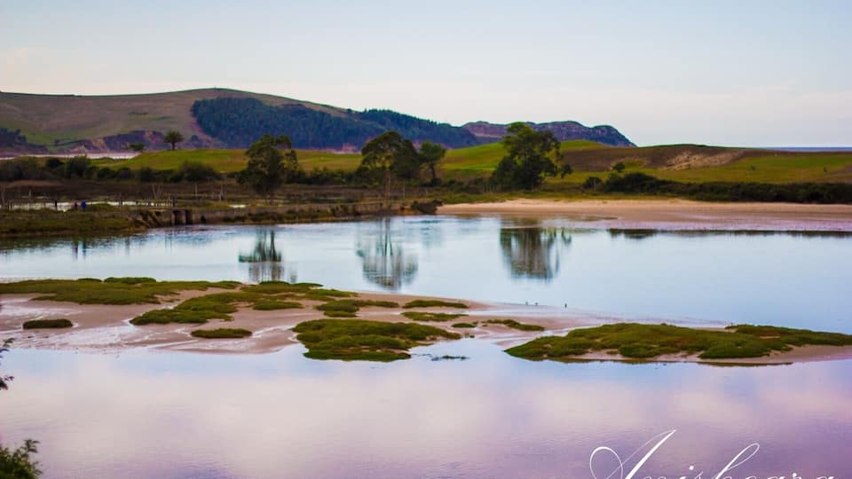 A calm lake with green vegetation in the foreground, surrounded by hills and trees.
