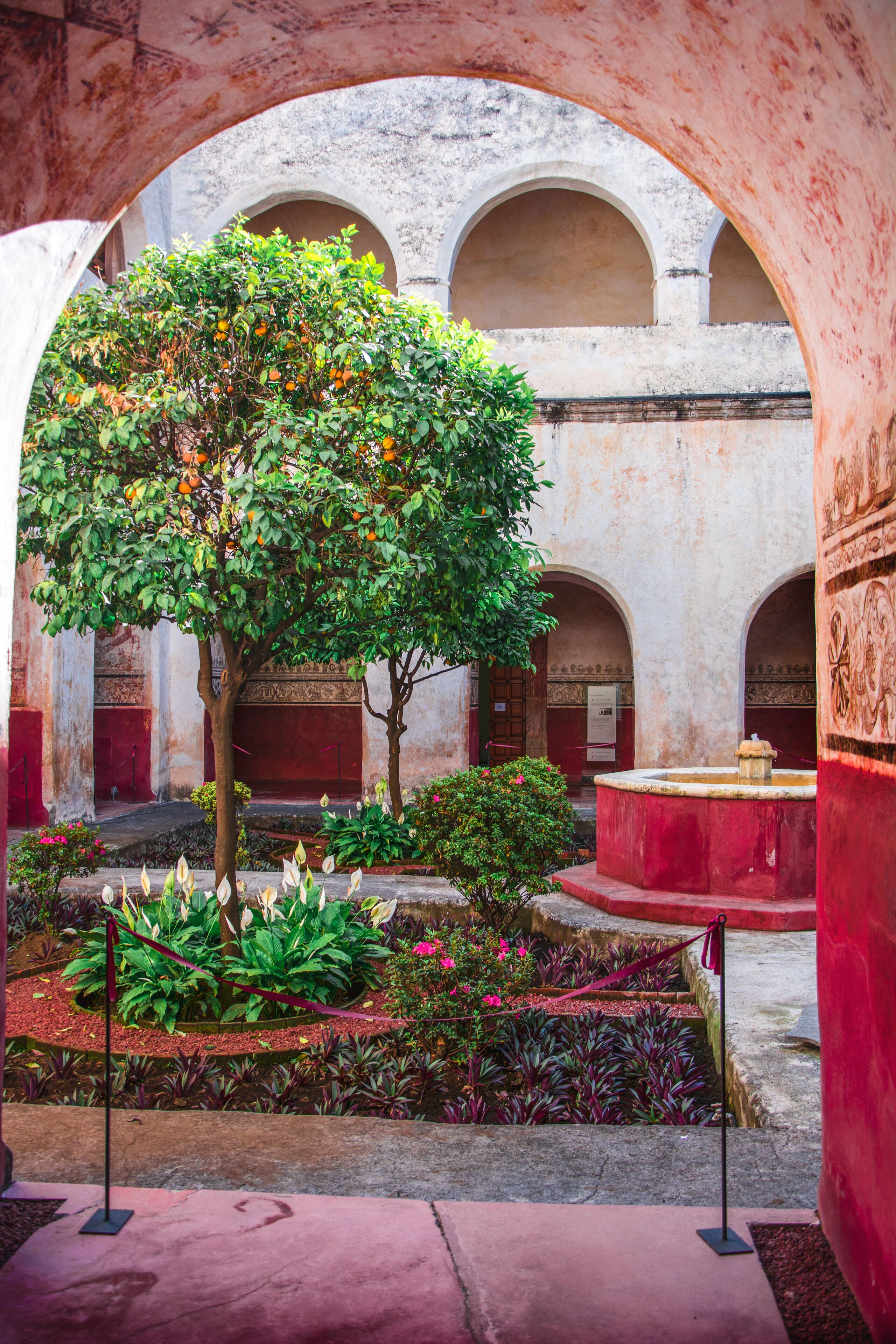 First photo from my trip to the amazing Mèxico!
This is the garden inside the Parroquia Nuestra Señora de la Natividad.