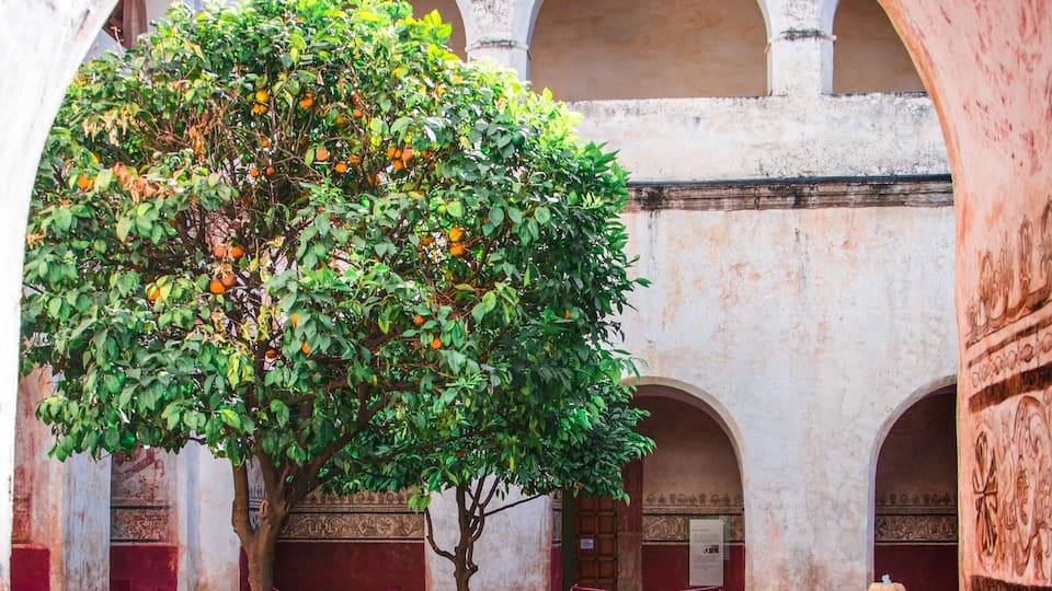 First photo from my trip to the amazing Mèxico!
This is the garden inside the Parroquia Nuestra Señora de la Natividad.