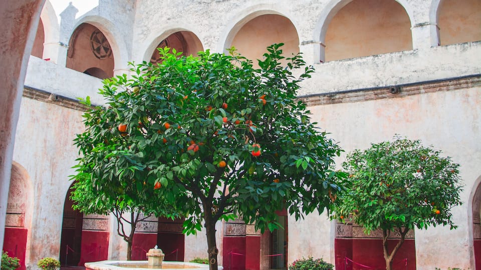 Secret garden in Parroquia Nuestra Señora de la Natividad.