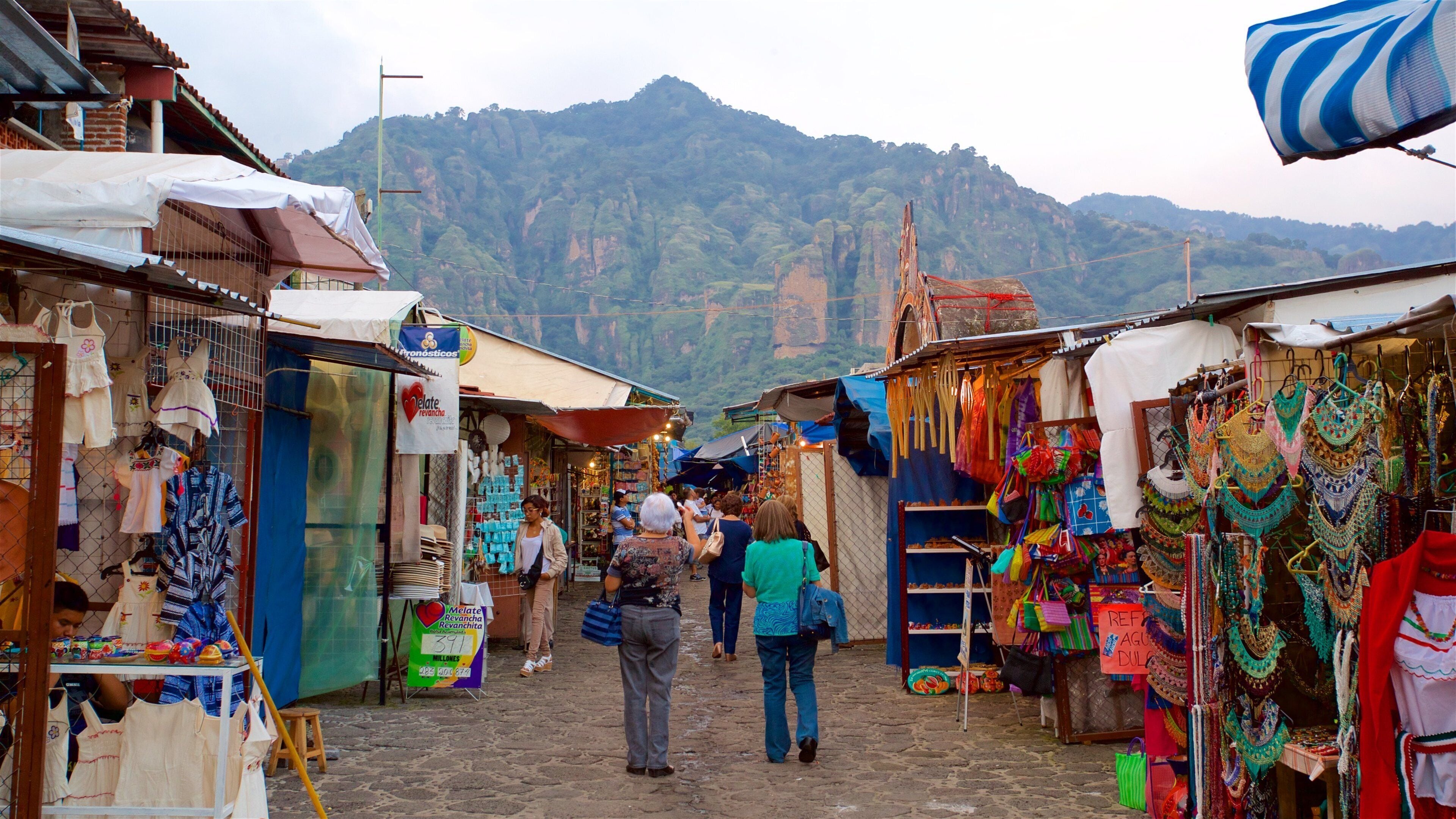 Tepoztlan showing markets as well as a small group of people