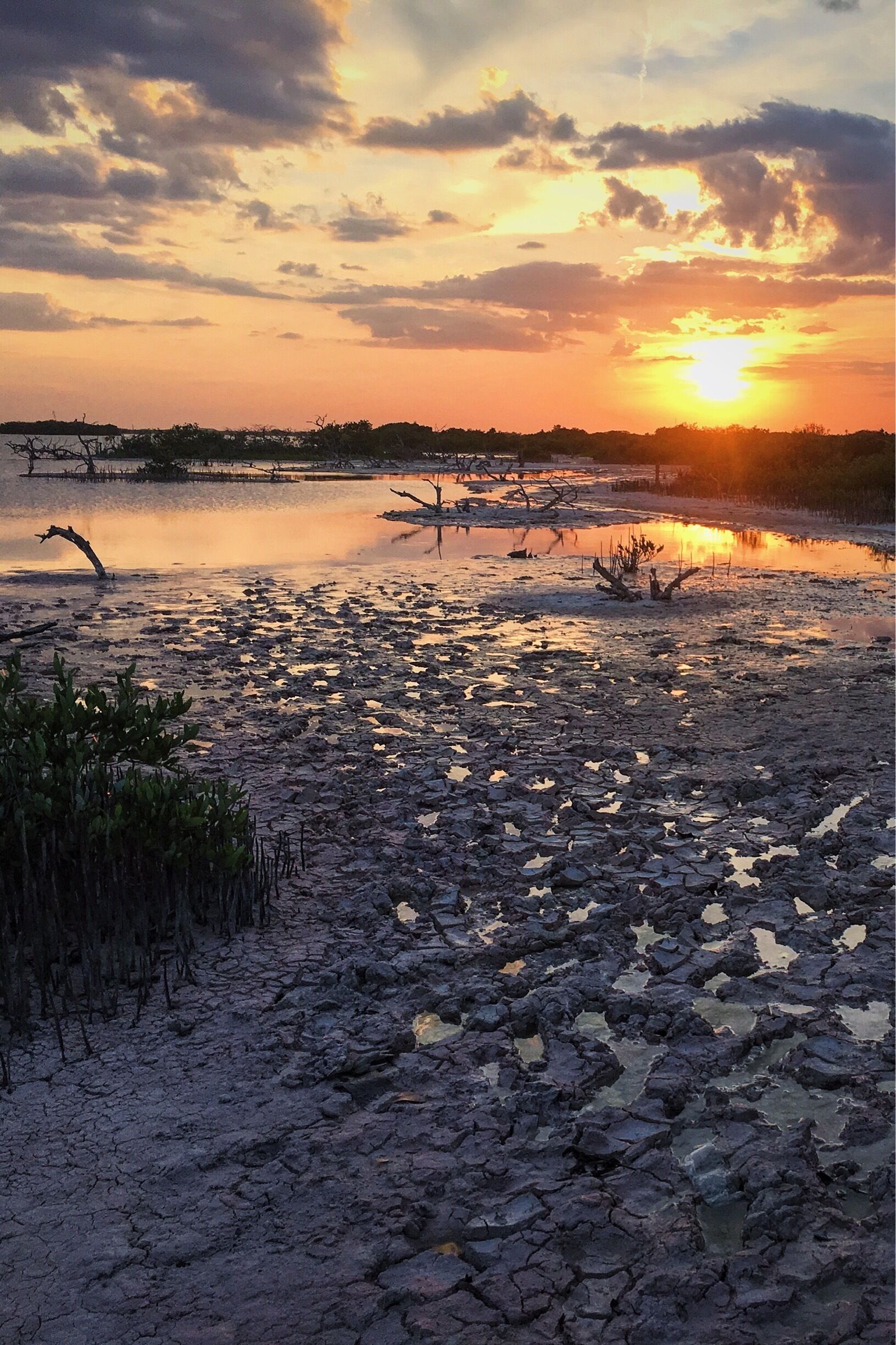 beautiful flamingo lagoon, pink salt lakes and sunsets, perfect spot especially when staying overnight.