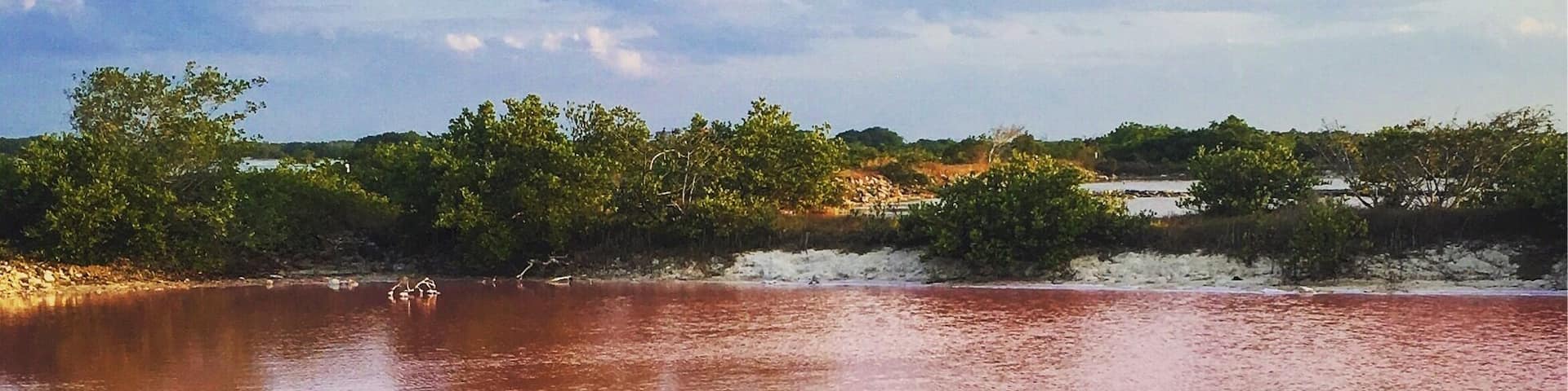 unreal pink colored salt ponds, hundreds if not thousands of pink flamingos and a good spot to spend the night.