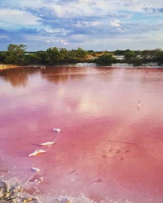unreal pink colored salt ponds, hundreds if not thousands of pink flamingos and a good spot to spend the night.