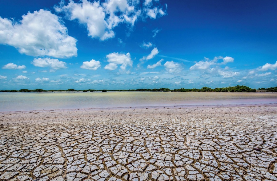 Captured this photo while we were patiently waiting for pink flamingos to fly across the perfectly contrasting blue sky.
Sometimes those random clicks actually might have some beauty captured 📸
By the way if you are not careful, you can get stuck in the mud; happened to us 🤦🏻♀️ Location: Somewhere in Laguna Rosada, Progresso, Mexico
#Nature #2roadmonkeys