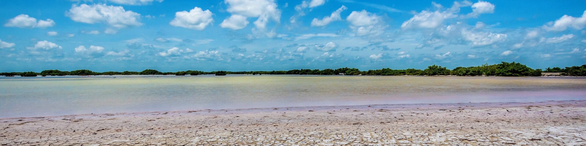 Captured this photo while we were patiently waiting for pink flamingos to fly across the perfectly contrasting blue sky.
Sometimes those random clicks actually might have some beauty captured 📸
By the way if you are not careful, you can get stuck in the mud; happened to us 🤦🏻♀️ Location: Somewhere in Laguna Rosada, Progresso, Mexico
#Nature #2roadmonkeys