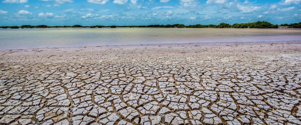A dry, cracked landscape with a clear blue sky and distant greenery.