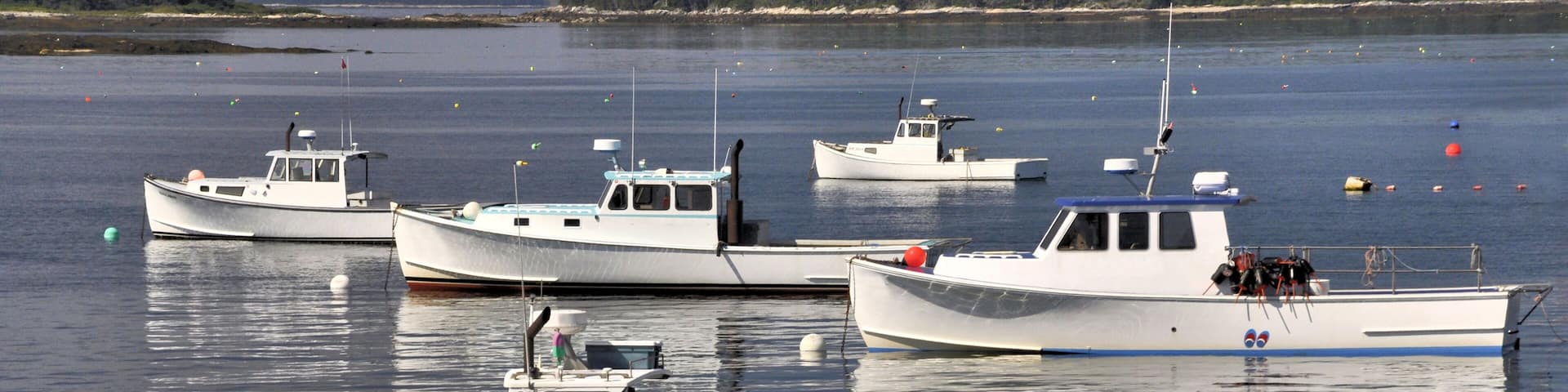 Peaceful coastal scene. Fleet of white lobster boats anchored in calm bay near South Thomaston Maine.