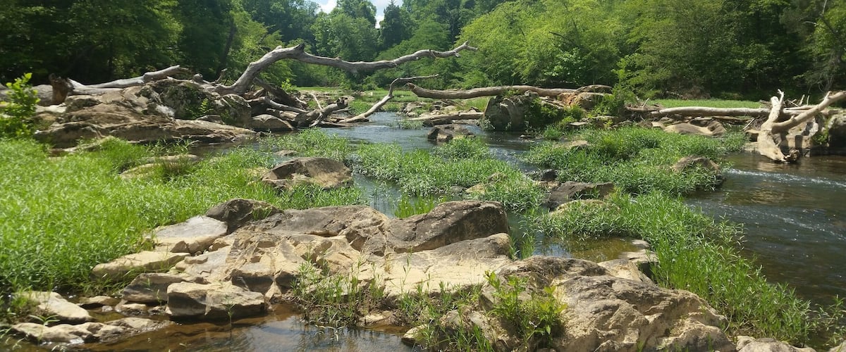 Sennett's hole is a swimming hole accessed from the west point outpost on the eno river. There are lots of rocks to lounge on on one side, and a rope swing on the other. It's great spot to hang out!