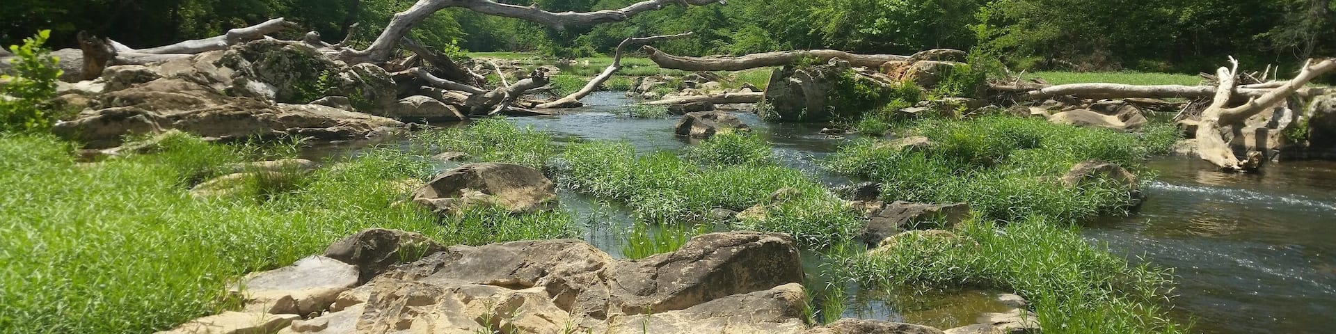 Sennett's hole is a swimming hole accessed from the west point outpost on the eno river. There are lots of rocks to lounge on on one side, and a rope swing on the other. It's great spot to hang out!