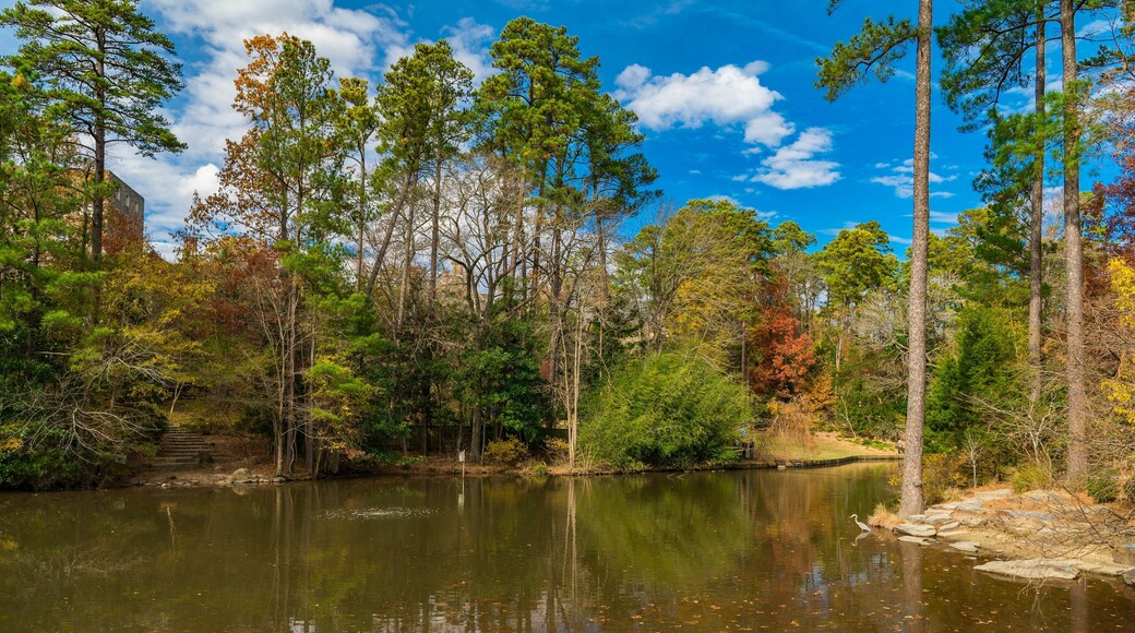 Idyllic scene of a tranquil lake surrounded by lush trees at the Sarah P. Duke Gardens in Durham, NC