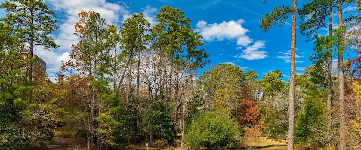 Idyllic scene of a tranquil lake surrounded by lush trees at the Sarah P. Duke Gardens in Durham, NC
