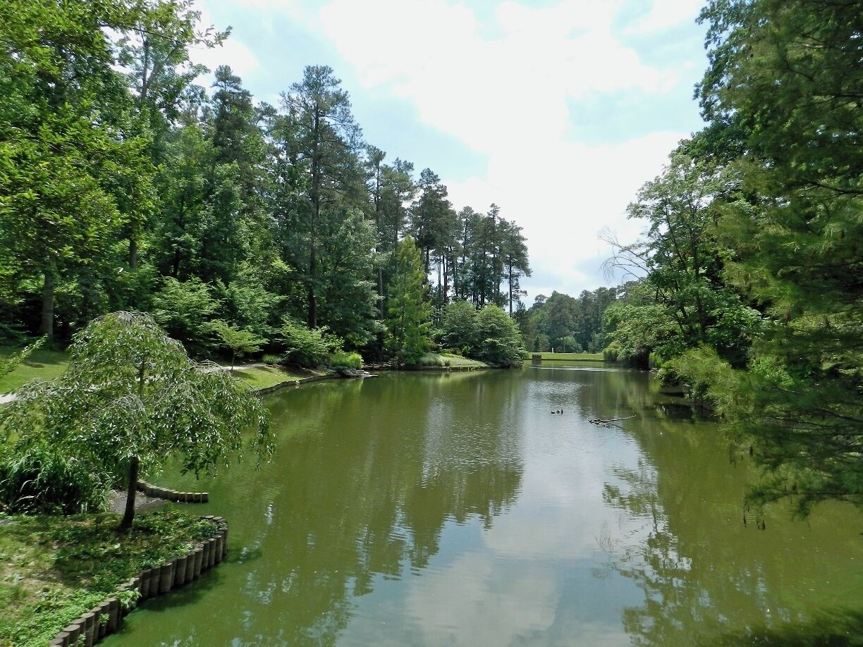 View of the lake at the Sarah Duke Gardens. 