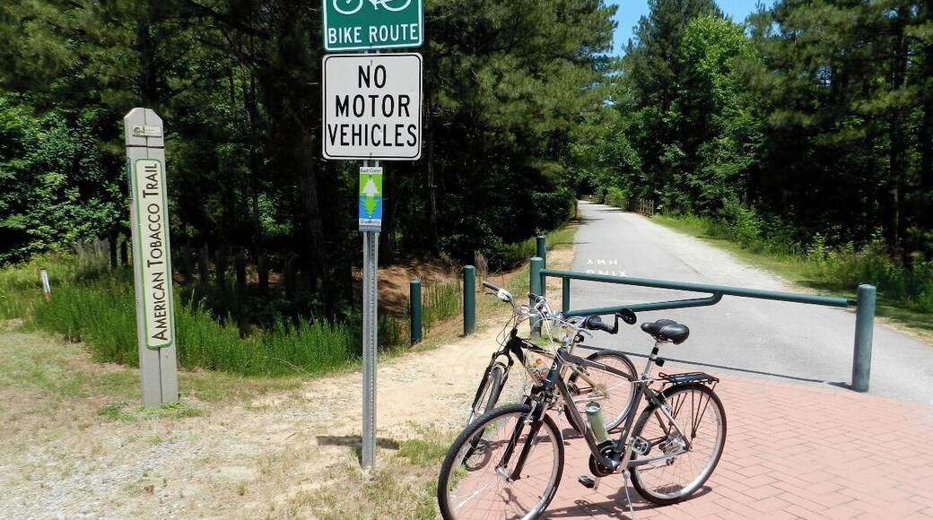 The American Tobacco Trail is a 22 mile hiking / biking trail which runs through Durham and Cary, NC. A great place to ride in the city without traffic.