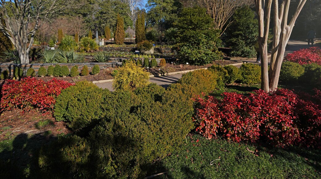 Duke Gardens in Durham , North Carolina