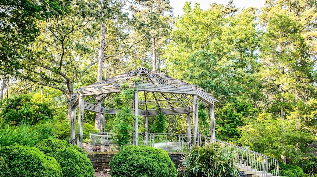 Beautiful Japanese garden at Duke