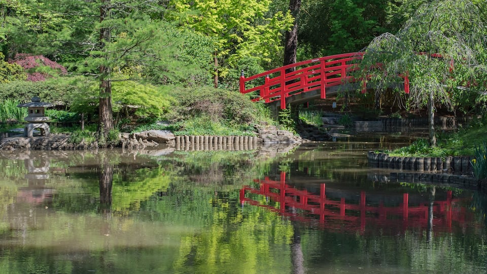 A serene pond with a red bridge, lush greenery, and a traditional Japanese torii gate.