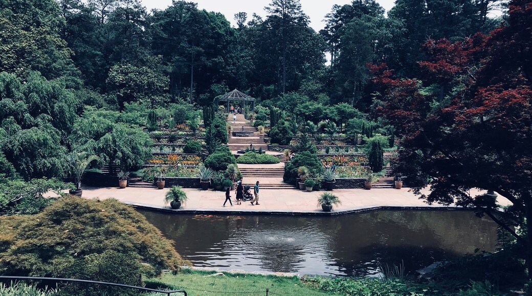 This garden is amazing. It has a koi pond, Japanese garden, a huge grass lawn with large vine statues, benches under Magnolia tents, and so many different species of trees, plants, and flowers. You could easily spend an hour or longer there. And it’s free admission!
