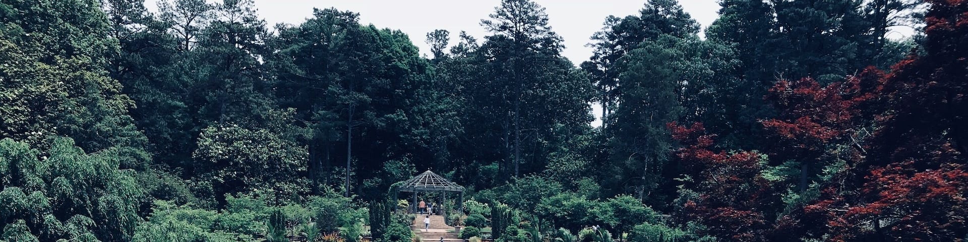 This garden is amazing. It has a koi pond, Japanese garden, a huge grass lawn with large vine statues, benches under Magnolia tents, and so many different species of trees, plants, and flowers. You could easily spend an hour or longer there. And it’s free admission!