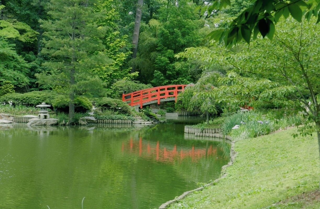 The Sarah Duke Gardens is part of Duke University - one of the best public gardens in the country and a peaceful place to spend the afternoon.  This photo was taken at the Japanese Pavilion.  