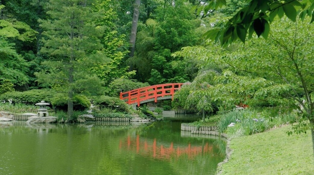 The Sarah Duke Gardens is part of Duke University - one of the best public gardens in the country and a peaceful place to spend the afternoon. This photo was taken at the Japanese Pavilion.