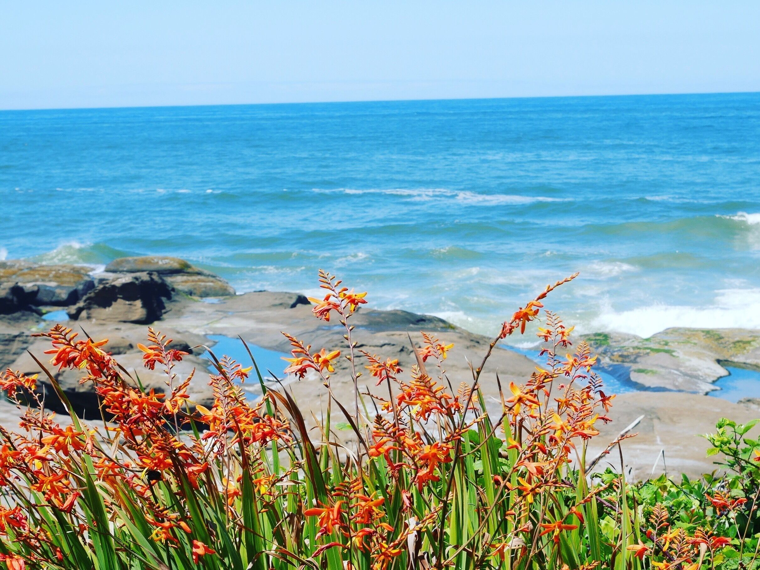 Trip to Oregon coast for my mom’ 70th birthday! #Adventure