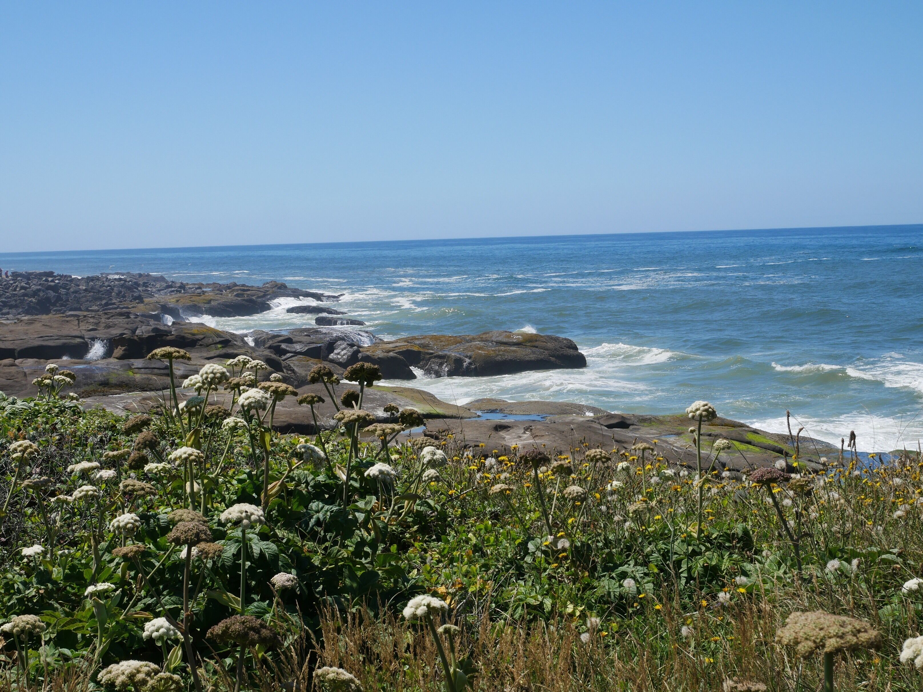 Beautiful ocean #Adventure