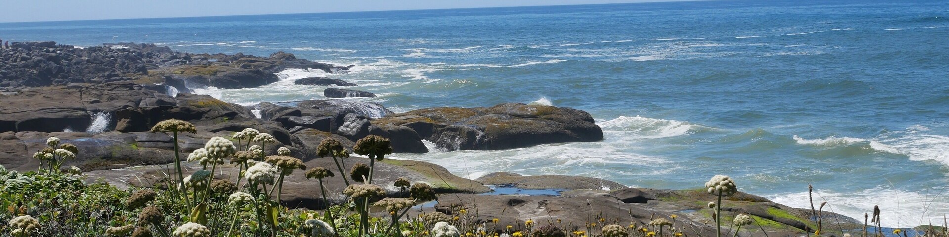 Costa rocosa con olas rompiendo en la orilla, rodeada de exuberante vegetación y plantas con flores blancas.