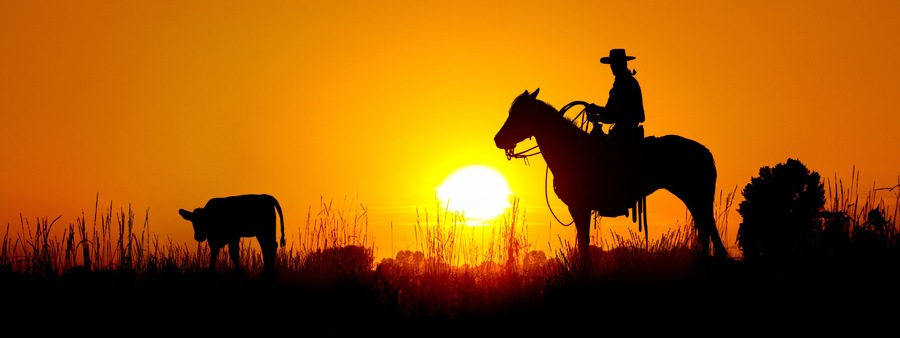 Un vaquero a caballo silueteado contra el ocaso, con una vaca en primer plano y un árbol a la derecha.
