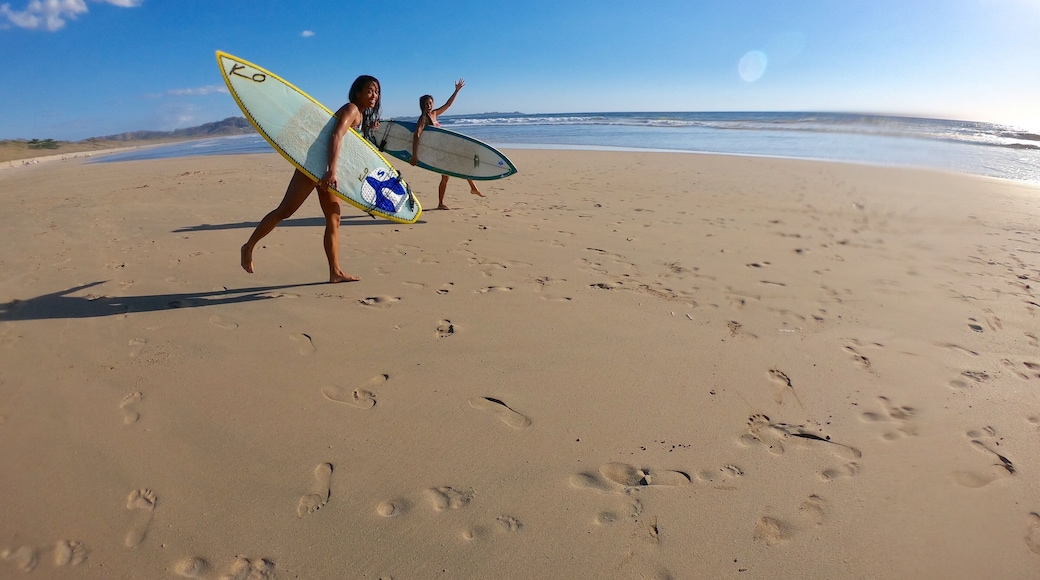 All beach, constant waves. Nothing but nature all around. Great place to surf when Tamarindo is just too packed.