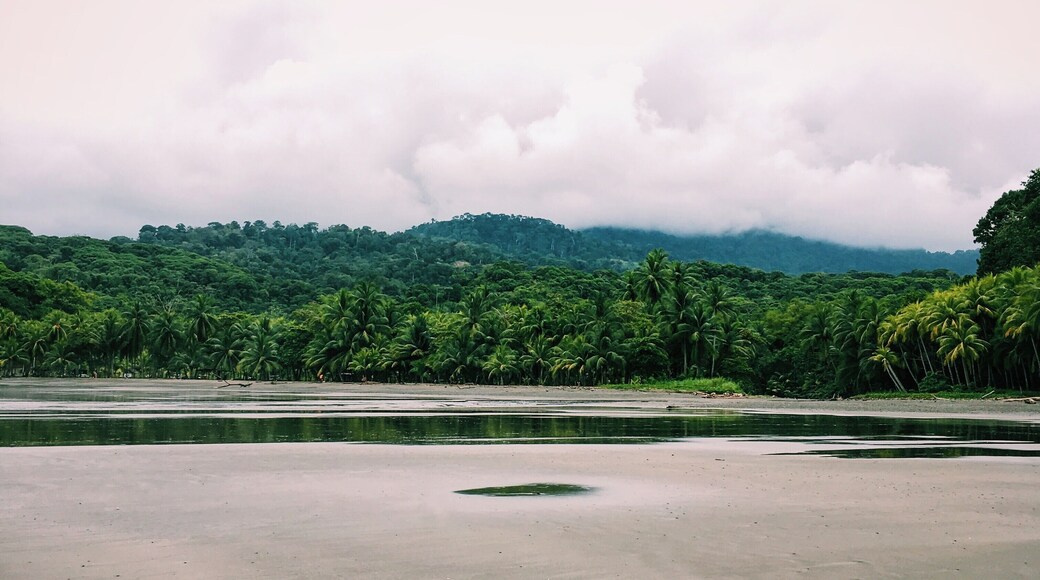 This is the view away from the water. There's something magical about standing on an empty beach, surrounded by the majesty of nature on all sides.
#LifeatExpedia