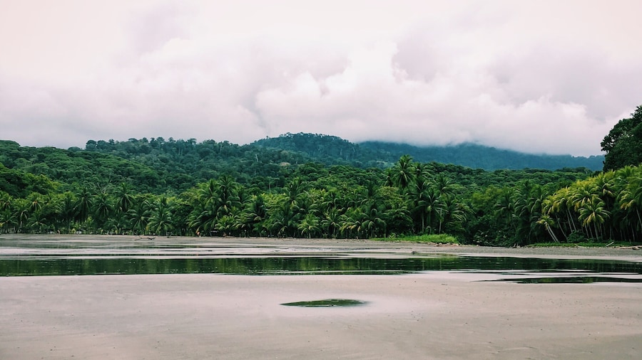 This is the view away from the water. There's something magical about standing on an empty beach, surrounded by the majesty of nature on all sides.
#LifeatExpedia