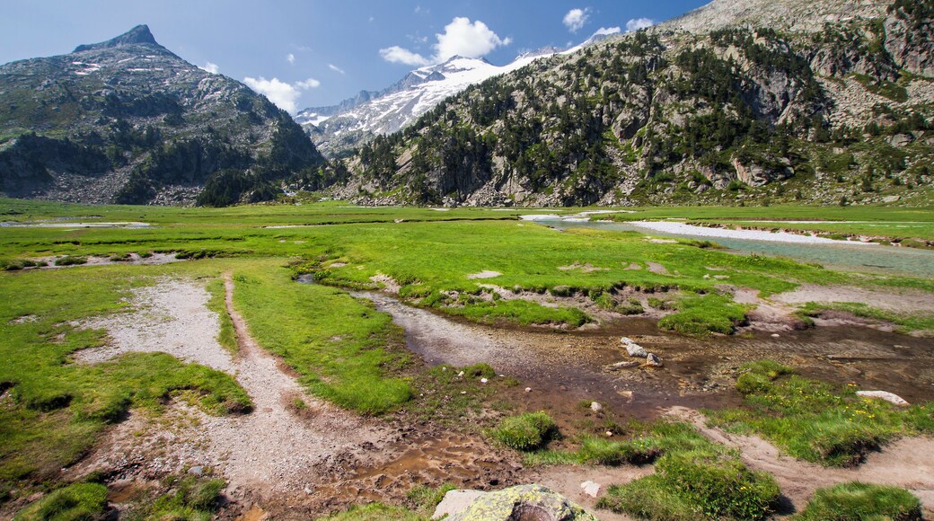 This is a photography of a Site of Community Importance in Spain with the ID: