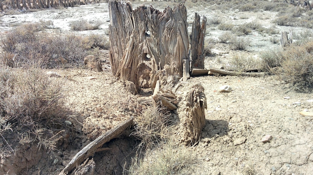 Salinas Espartinas, en Ciempozuelos (Madrid, España).
