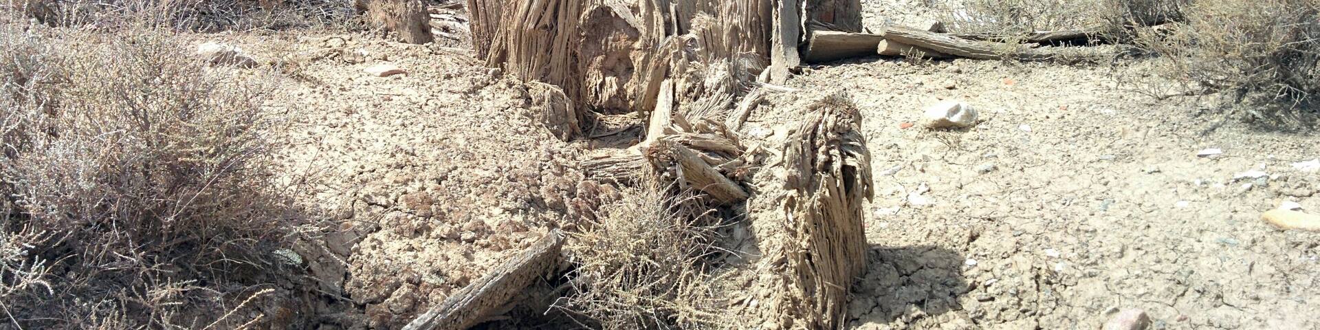 Salinas Espartinas, en Ciempozuelos (Madrid, España).