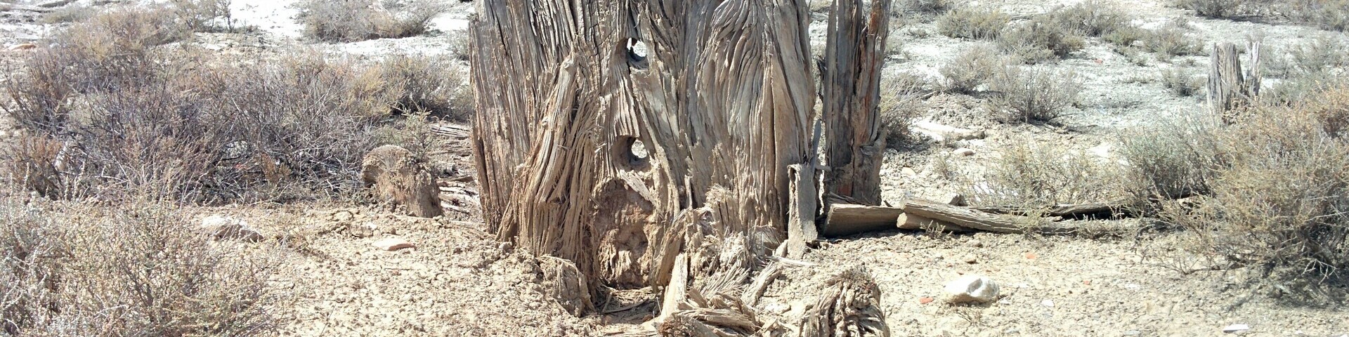 Salinas Espartinas, en Ciempozuelos (Madrid, España).