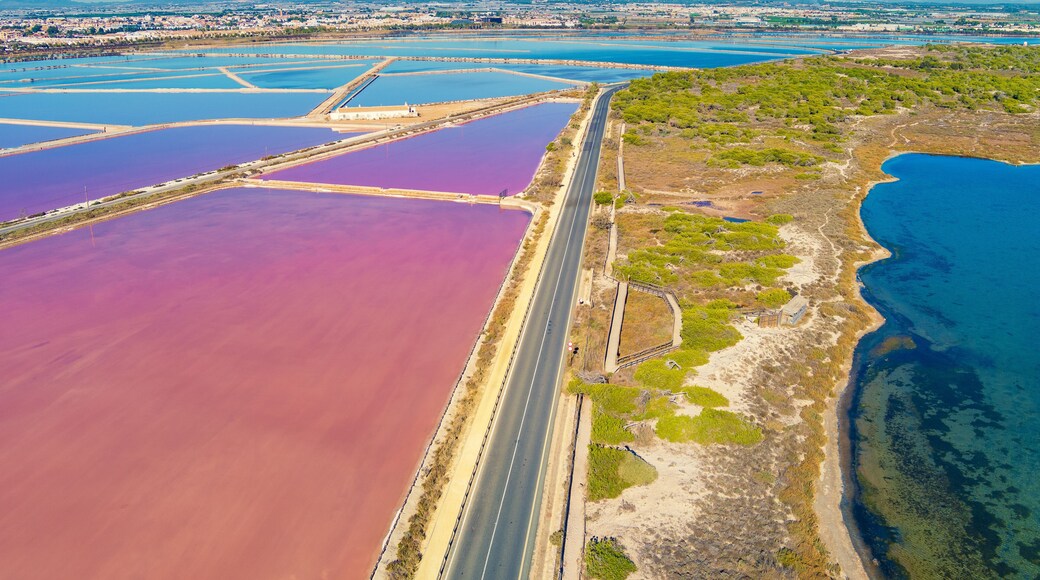 San Pedro del Pinatar